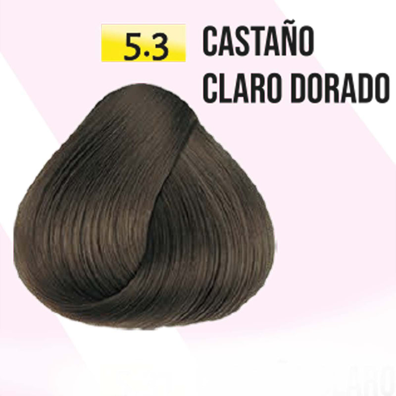Tinte nefertiti 90 gr + peroxido 20 vol